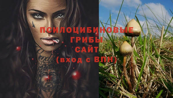 a pvp Нея