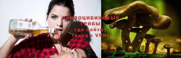 прущие грибы Нефтегорск