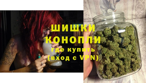 прущие грибы Нефтегорск
