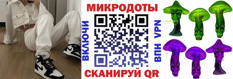 Псилоцибиновые грибы Psilocybine cubensis Ясногорск